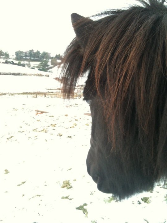 Hello and welcome to my blog