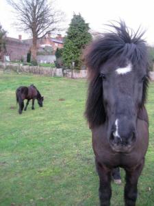 My favourite day ever