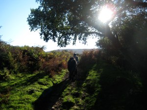 Friends walking into the sunset