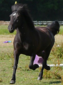 P1020900_2376_edited-1