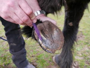 Where the nails punctured the sole