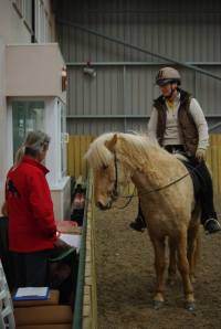 Blondie getting feedback