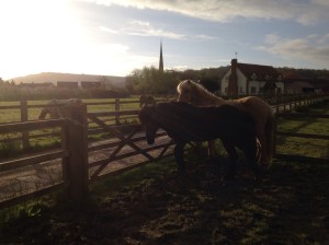 Temporary accommodation, you can't always choose your neighbours.