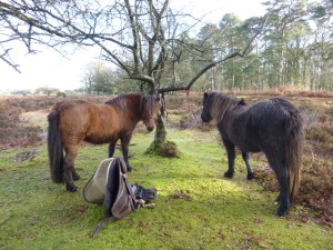  A rest at the half way point