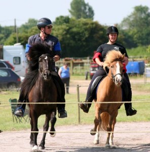 Elementary Tolt Final