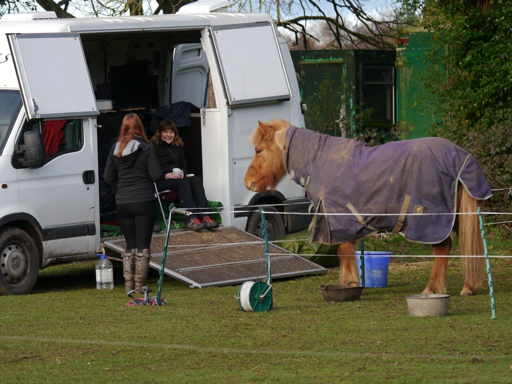 Helgi says "It's my Stable on Wheels, can I come in please?"