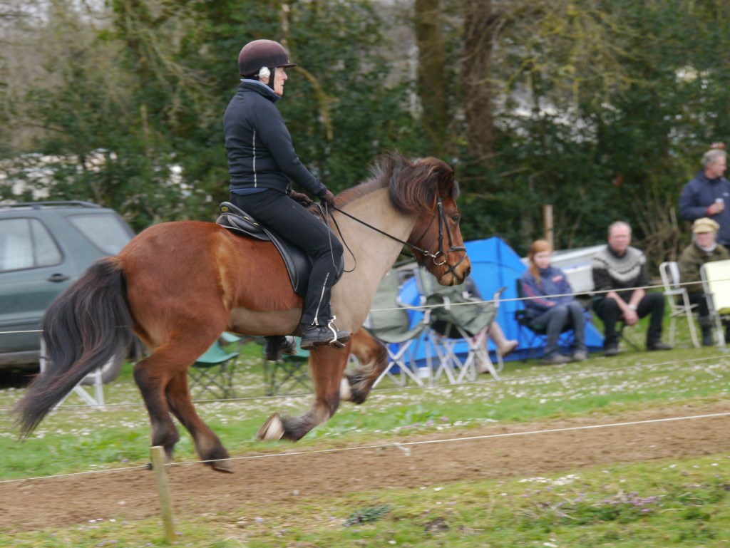 Edda Hestar Easter Show 2015 168
