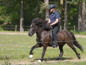 Roger and Fleygur in the Four Gait