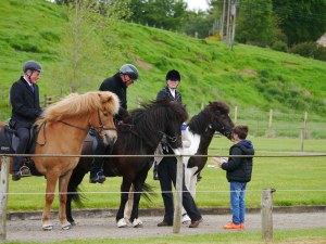 Forth place in Intermediate Four Gait