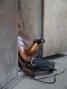 I use to ride Western